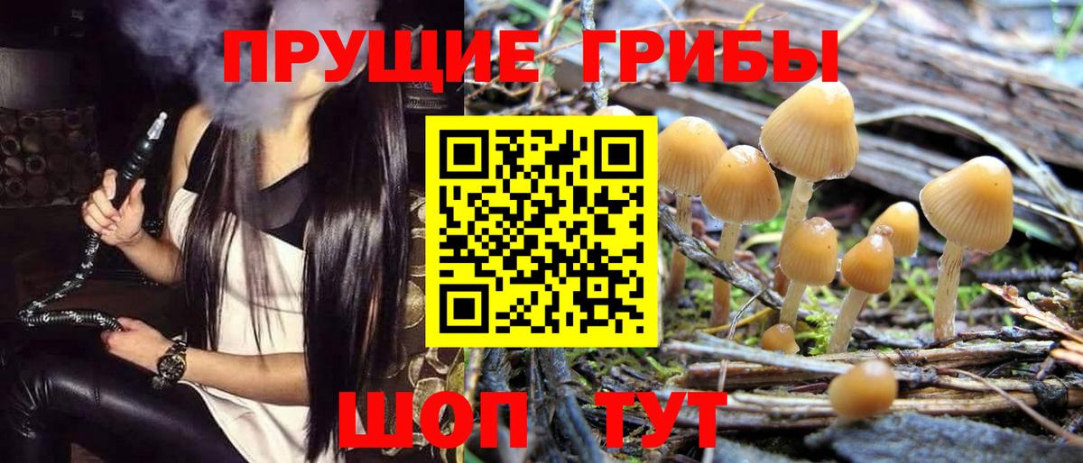 Галлюциногенные грибы прущие грибы  купить  сайты  Волгодонск  Галлюциногенные грибы Cubensis  Вход с VPN 